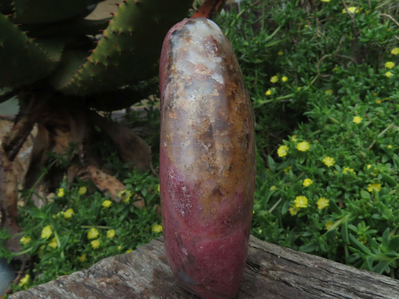 Polished Rhodonite Standing Free Forms x 2 From Madagascar - TopRock