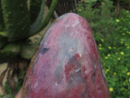 Polished Rhodonite Standing Free Forms x 2 From Madagascar - TopRock