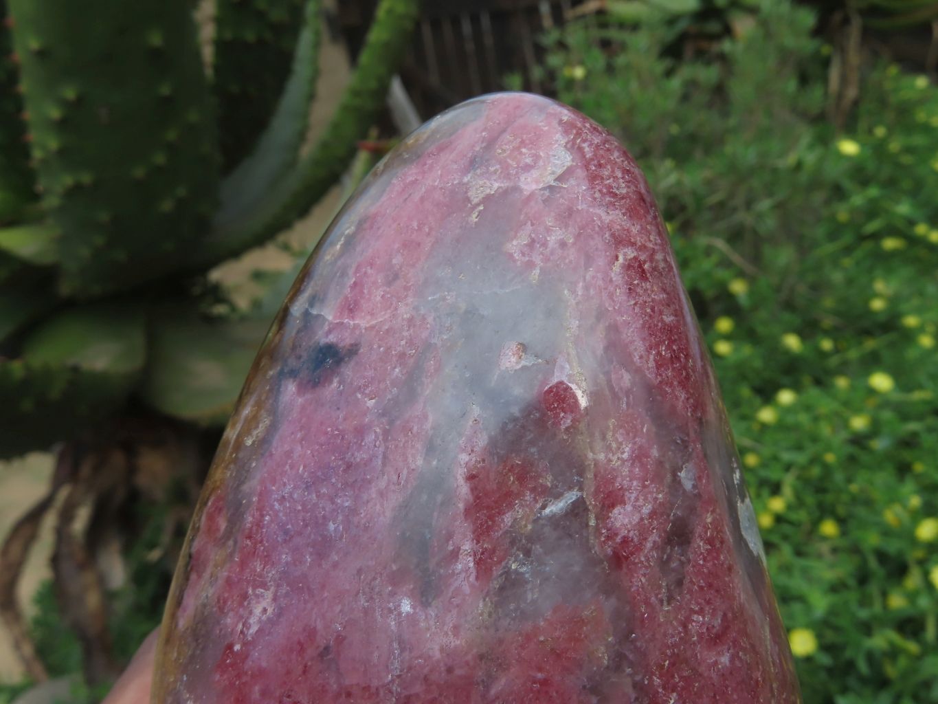 Polished Rhodonite Standing Free Forms x 2 From Madagascar - TopRock