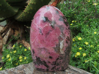 Polished Rhodonite Standing Free Forms x 2 From Madagascar - TopRock