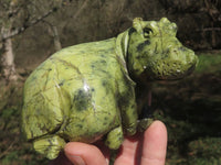 Polished Trio Of Leopard Stone & Verdite Hippo Carvings  x 3 From Zimbabwe - TopRock
