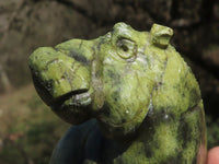 Polished Trio Of Leopard Stone & Verdite Hippo Carvings  x 3 From Zimbabwe - TopRock