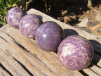 Polished Purple Lepidolite Spheres  x 4 From Madagascar - Toprock Gemstones and Minerals 