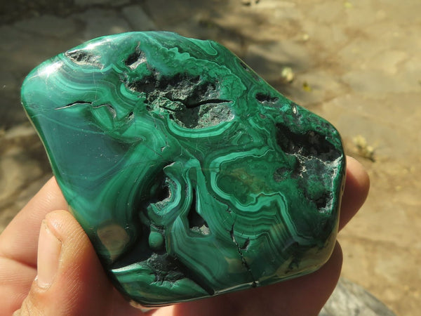 Polished Malachite Free Forms With Stunning Flower & Banding Patterns x 6 From Congo