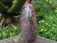 Polished Rhodonite Standing Free Forms x 2 From Madagascar - TopRock