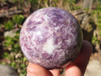 Polished Purple Lepidolite Spheres  x 4 From Madagascar - Toprock Gemstones and Minerals 