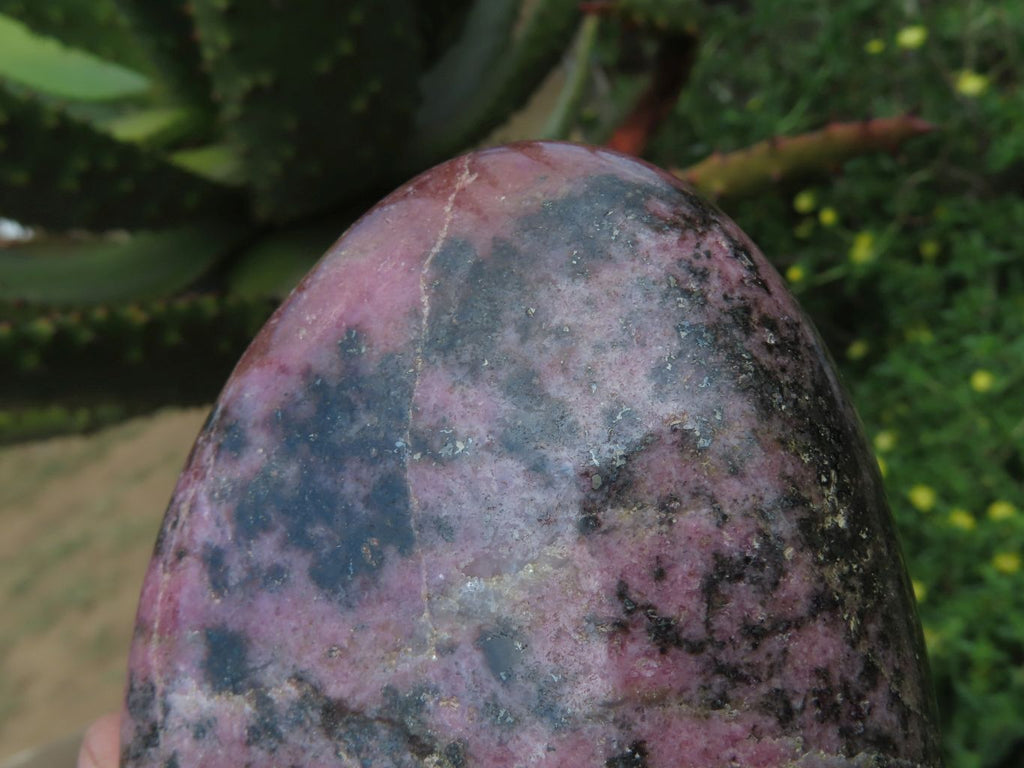 Polished Rhodonite Standing Free Forms x 2 From Madagascar - TopRock