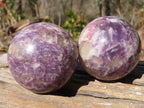 Polished Purple Lepidolite Spheres  x 4 From Madagascar - Toprock Gemstones and Minerals 