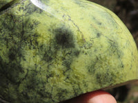 Polished Trio Of Leopard Stone & Verdite Hippo Carvings  x 3 From Zimbabwe - TopRock