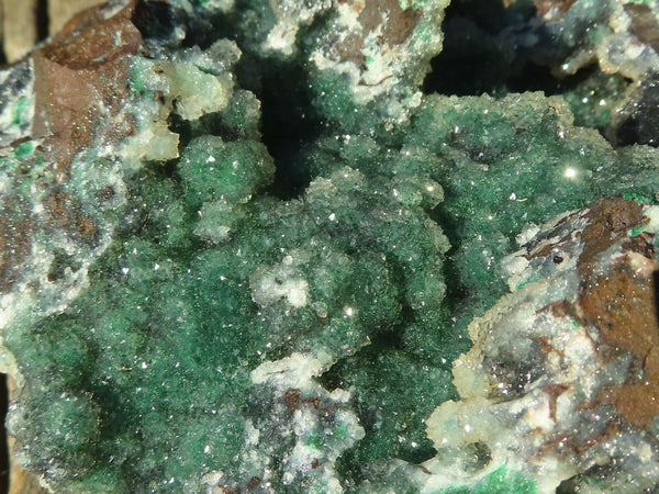 Natural Drusy Quartz Coated Ball Malachite On Red Copper Dolomite Specimen x 1 From Congo - Toprock Gemstones and Minerals 