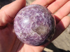 Polished Purple Lepidolite Spheres  x 4 From Madagascar - Toprock Gemstones and Minerals 
