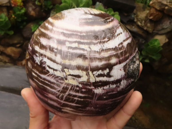 Polished Extra Large Petrified Podocarpus Wood Sphere  x 1 From Mahajanga, Madagascar - TopRock