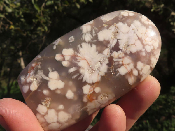 Polished Peachy Coral Flower Agate Standing Free Forms x 6 From Madagascar - TopRock