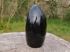 Polished Black Tourmaline Standing Free Form x 1 From Madagascar - TopRock