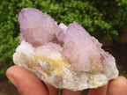 Natural Spirit Amethyst / Ametrine Quartz Clusters  x 19 From Boekenhouthoek, South Africa - Toprock Gemstones and Minerals 
