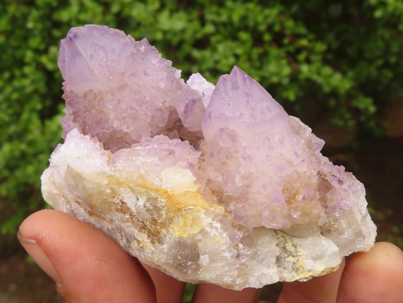 Natural Spirit Amethyst / Ametrine Quartz Clusters  x 19 From Boekenhouthoek, South Africa - Toprock Gemstones and Minerals 