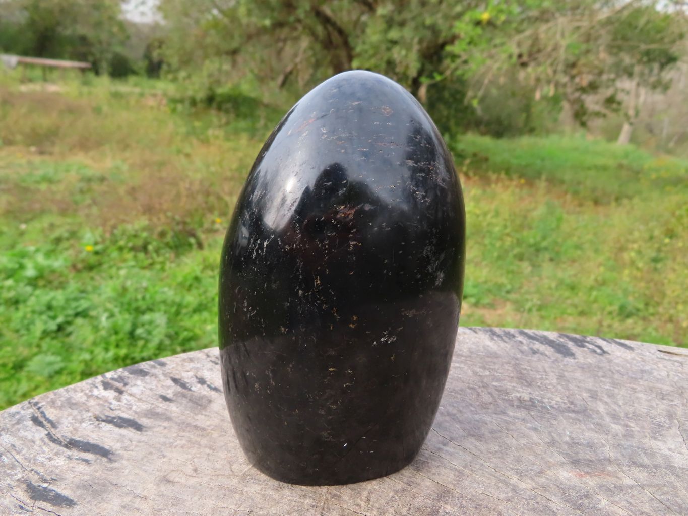 Polished Black Tourmaline Standing Free Form x 1 From Madagascar - TopRock