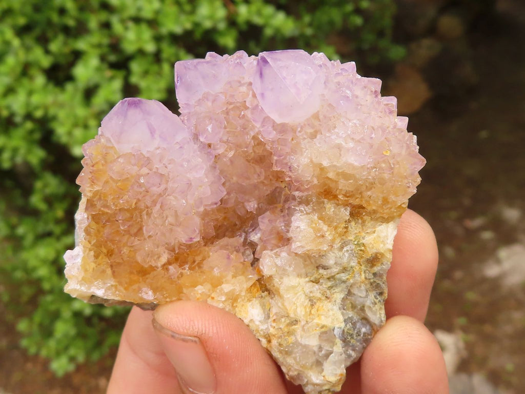 Natural Spirit Amethyst / Ametrine Quartz Clusters  x 19 From Boekenhouthoek, South Africa - Toprock Gemstones and Minerals 