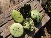 Polished  Leopard Stone Free Forms  x 5 From Zimbabwe - Toprock Gemstones and Minerals 