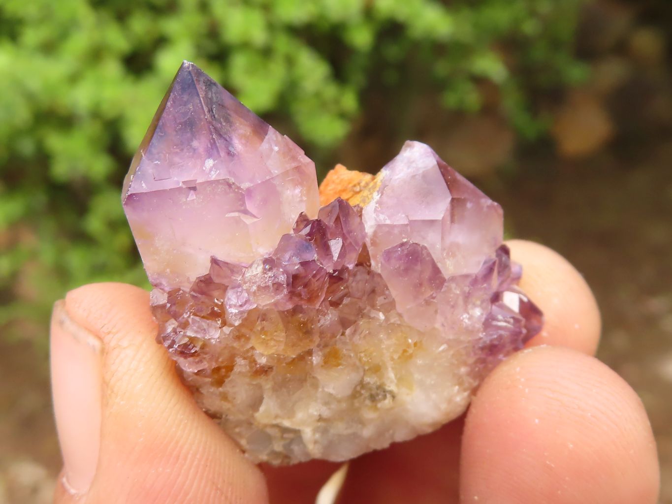 Natural Spirit Amethyst / Ametrine Quartz Clusters  x 19 From Boekenhouthoek, South Africa - Toprock Gemstones and Minerals 