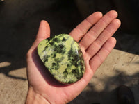Polished  Leopard Stone Free Forms  x 5 From Zimbabwe - Toprock Gemstones and Minerals 