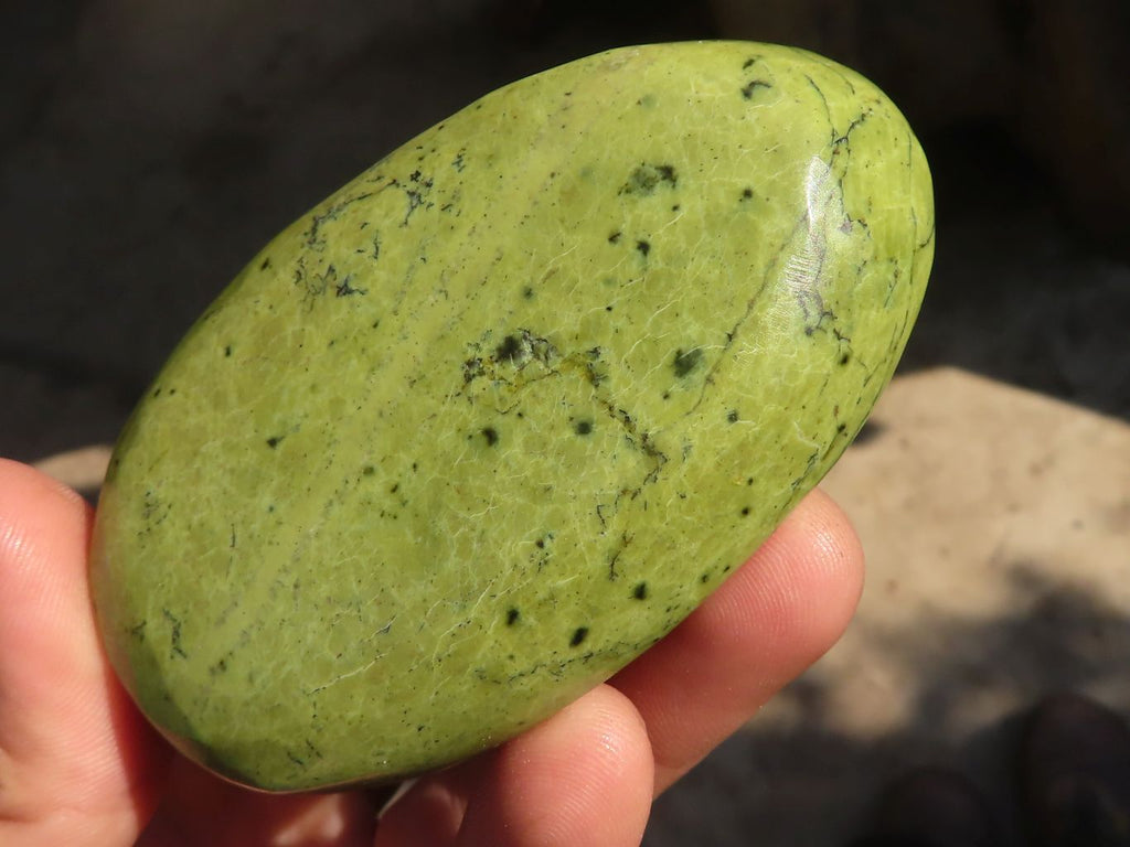 Polished  Leopard Stone Free Forms  x 5 From Zimbabwe - Toprock Gemstones and Minerals 