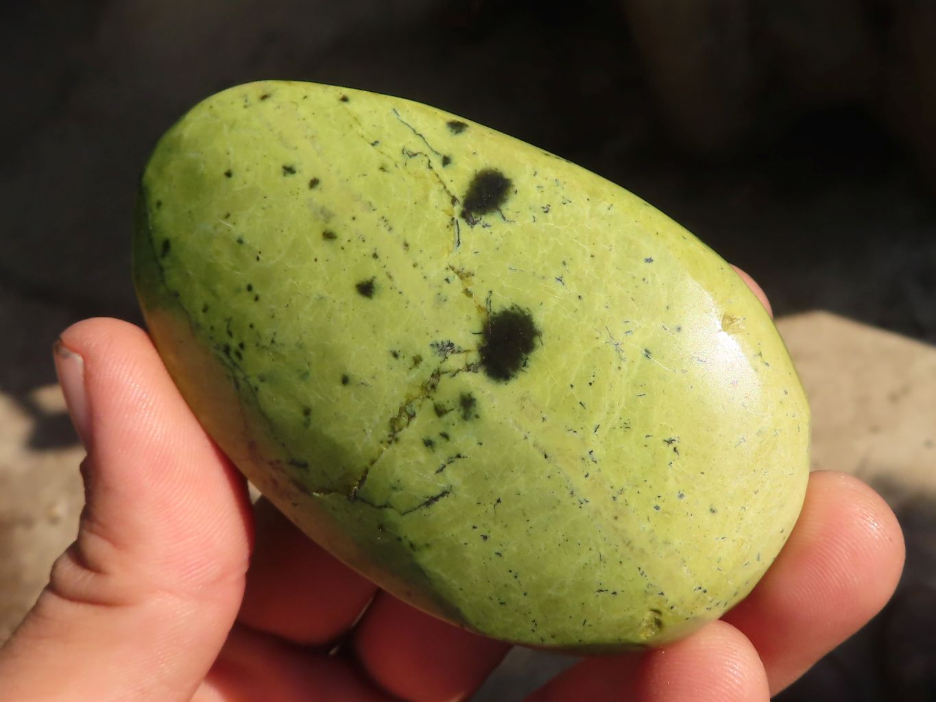 Polished  Leopard Stone Free Forms  x 5 From Zimbabwe - Toprock Gemstones and Minerals 