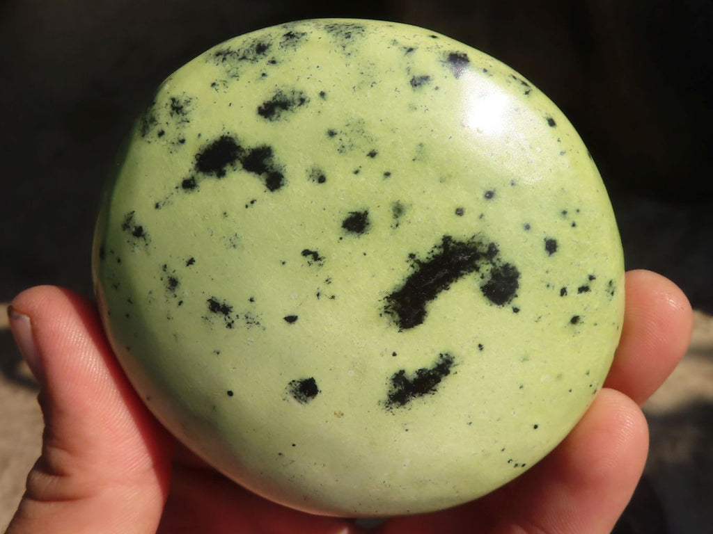 Polished  Leopard Stone Free Forms  x 5 From Zimbabwe - Toprock Gemstones and Minerals 