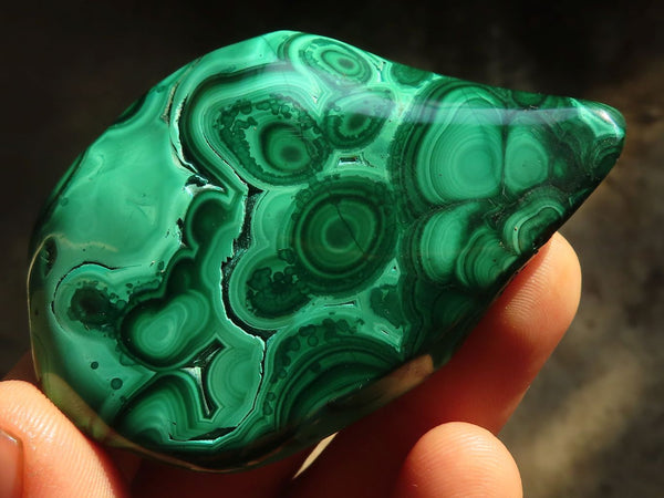 Polished Flower Banded Malachite Free Forms  x 12 From Congo