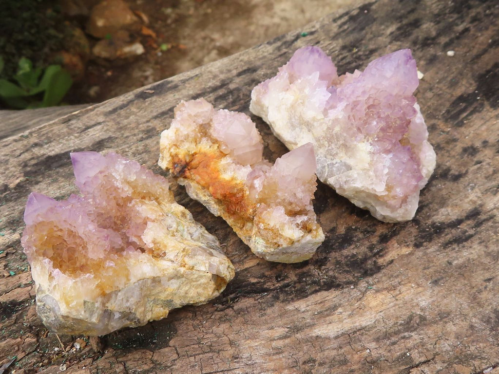 Natural Spirit Amethyst / Ametrine Quartz Clusters  x 19 From Boekenhouthoek, South Africa - Toprock Gemstones and Minerals 