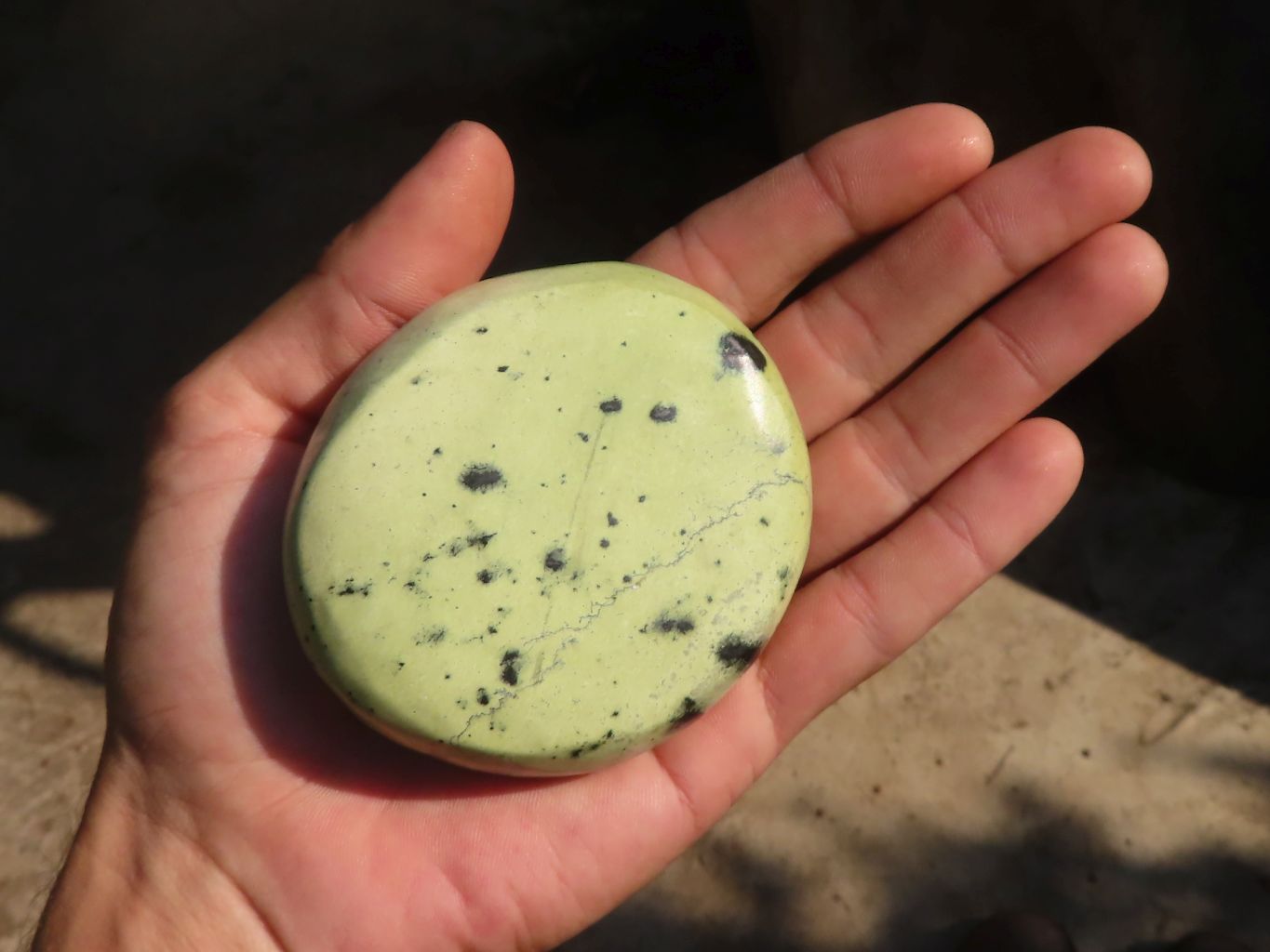 Polished  Leopard Stone Free Forms  x 5 From Zimbabwe - Toprock Gemstones and Minerals 