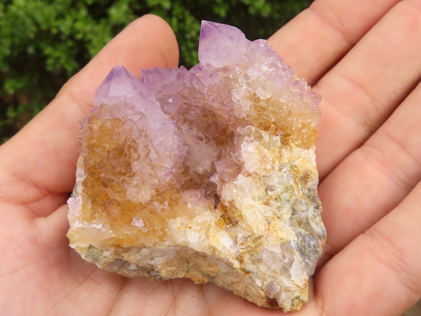 Natural Spirit Amethyst / Ametrine Quartz Clusters  x 19 From Boekenhouthoek, South Africa - Toprock Gemstones and Minerals 