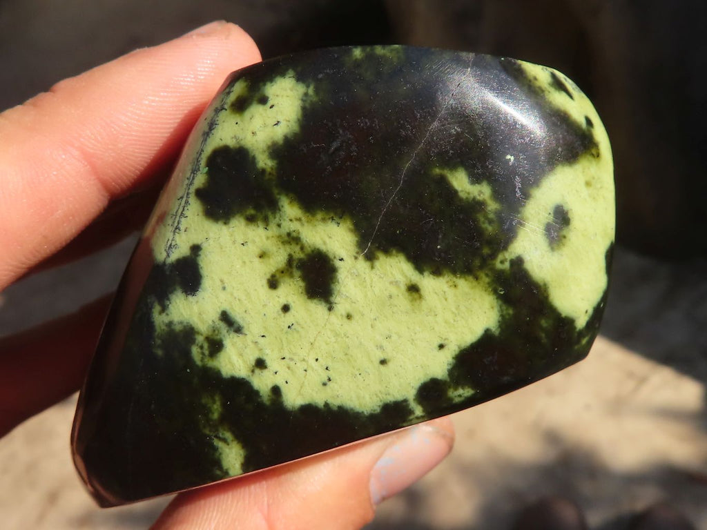 Polished  Leopard Stone Free Forms  x 5 From Zimbabwe - Toprock Gemstones and Minerals 