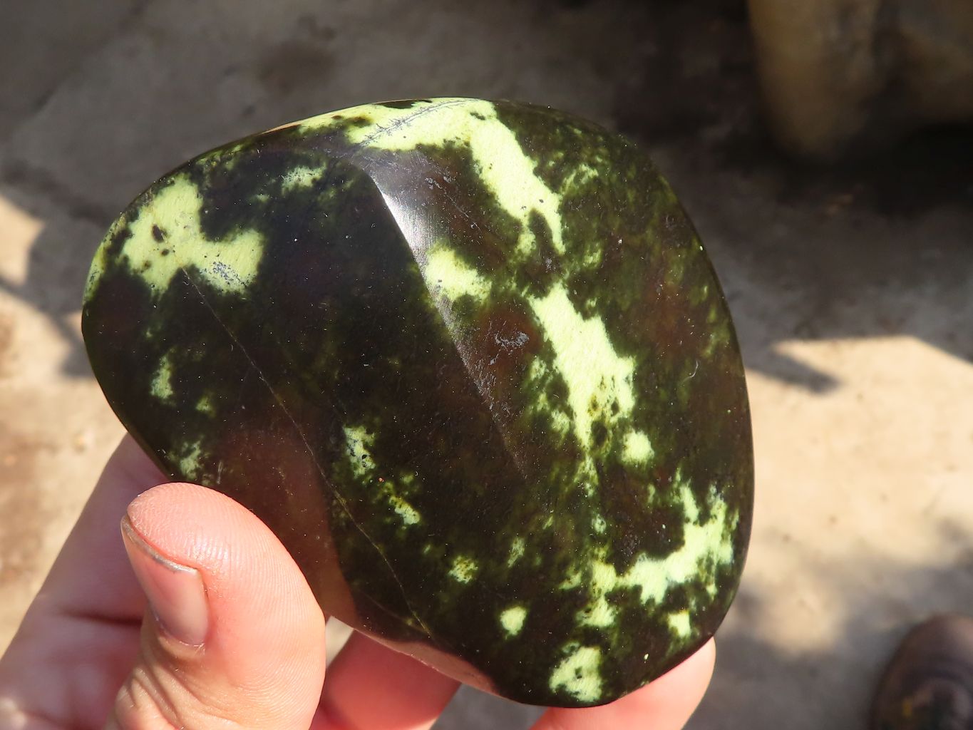 Polished  Leopard Stone Free Forms  x 5 From Zimbabwe - Toprock Gemstones and Minerals 