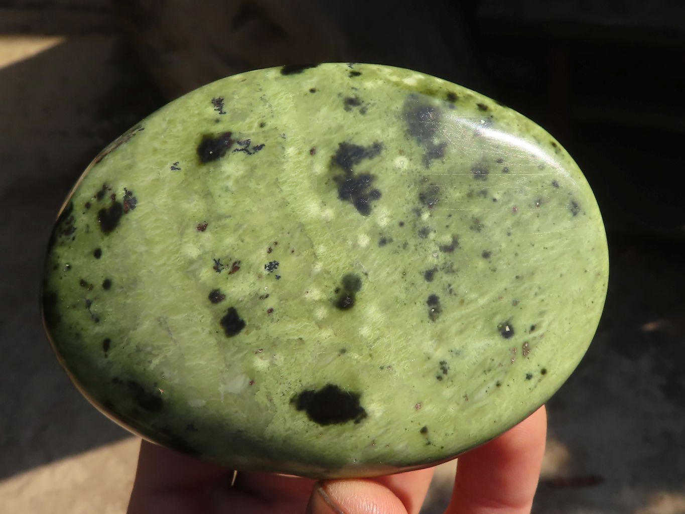 Polished  Leopard Stone Free Forms  x 5 From Zimbabwe - Toprock Gemstones and Minerals 