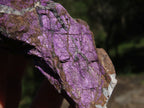 Natural Rare Metallic Purpurite Cobbed Specimens  x 3 From Namibia - TopRock