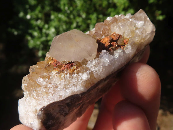 Natural Small Spirit Quartz Clusters  x 35 From Boekenhouthoek, South Africa - TopRock