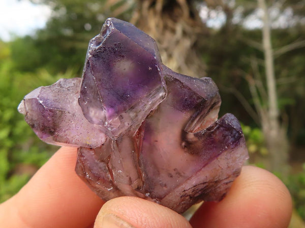 Natural Smokey Amethyst Window Quartz Crystals  x 20 From Chiredzi, Zimbabwe - Toprock Gemstones and Minerals 