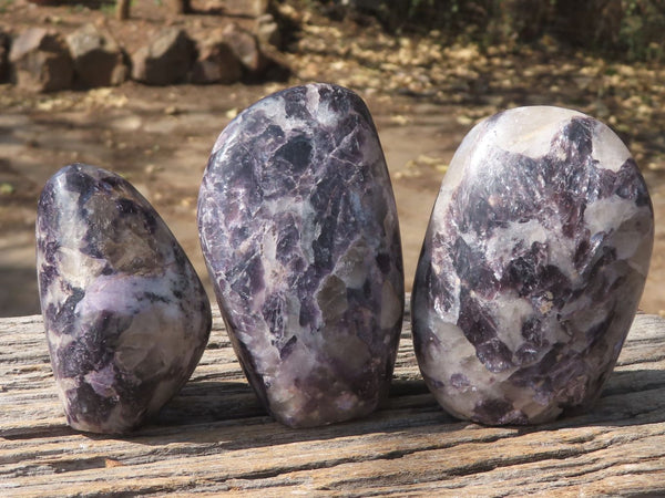 Polished Silver Leaf Lepidolite Free Forms  x 6 From Zimbabwe