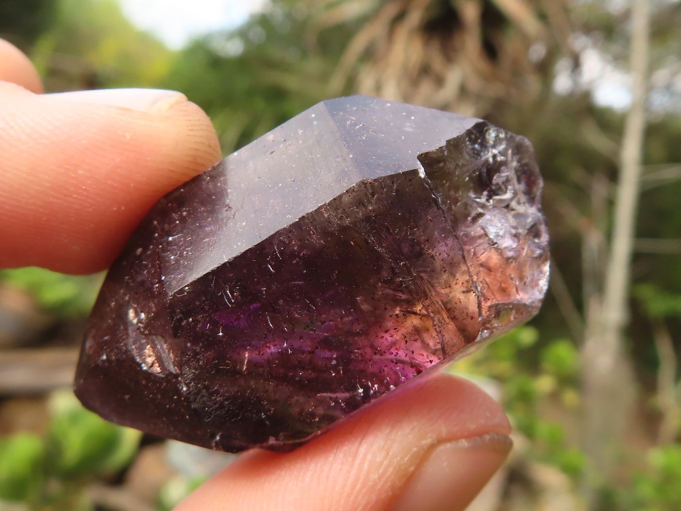Natural Smokey Amethyst Window Quartz Crystals  x 20 From Chiredzi, Zimbabwe - Toprock Gemstones and Minerals 