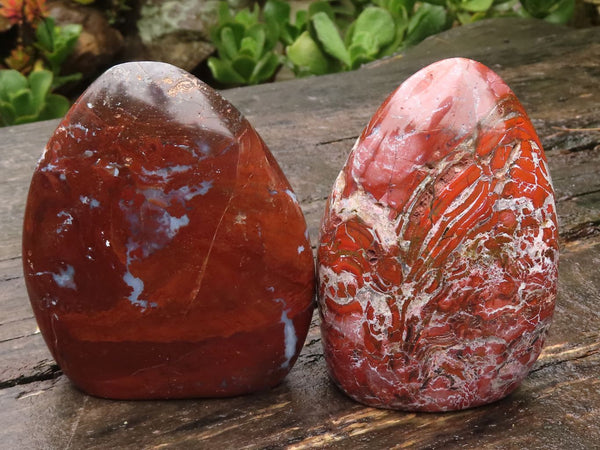 Polished Red & White Jasper Standing Free Forms  x 2 From Madagascar - TopRock