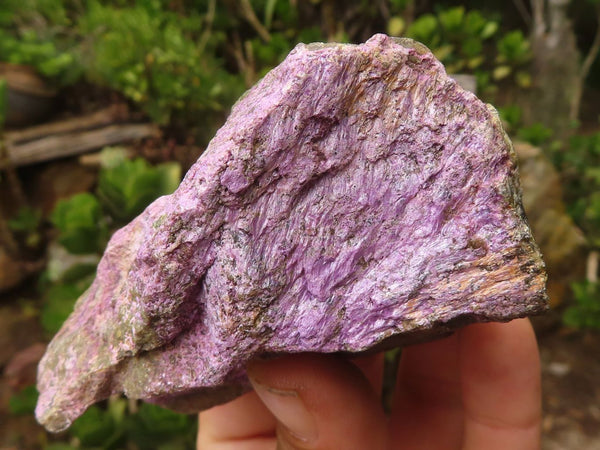 Natural Rough Stichtite & Serpentine Specimens  x 12 From Barberton, South Africa - Toprock Gemstones and Minerals 