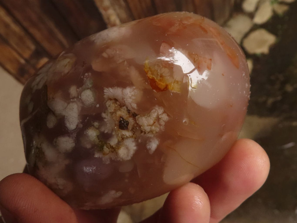 Polished Lovely Selection Of Coral Flower Agate Items  x 6 From Madagascar - TopRock