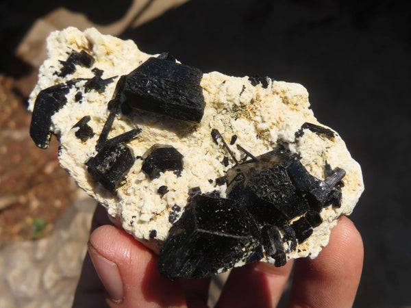 Natural Schorl Black Tourmaline Specimens x 6 From Erongo, Namibia