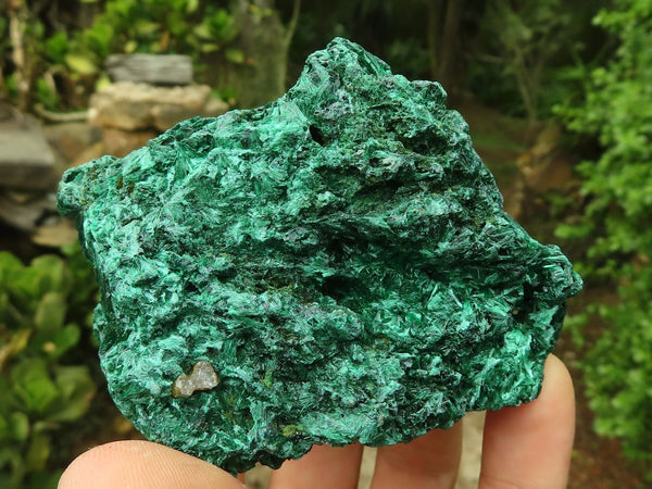 Natural Chatoyant Silky Malachite Specimens  x 6 From Congo - Toprock Gemstones and Minerals 