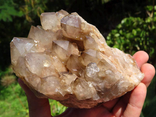 Natural Smokey Phantom Quartz Clusters x 2 From Lwena, Congo - TopRock