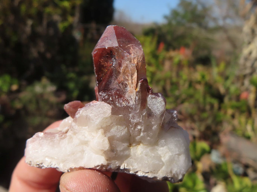 Natural Red Hematoid Quartz Crystals x 35 From Karoi, Zimbabwe - Toprock Gemstones and Minerals 