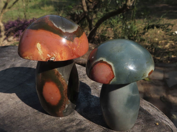 Polished Polychrome / Picasso Jasper Mushrooms  x 6 From Madagascar