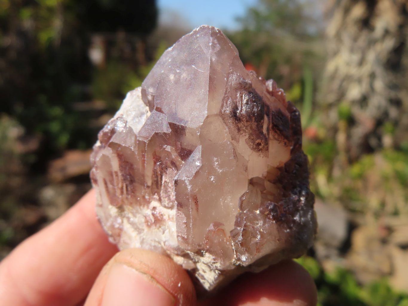 Natural Red Hematoid Quartz Crystals x 35 From Karoi, Zimbabwe - Toprock Gemstones and Minerals 