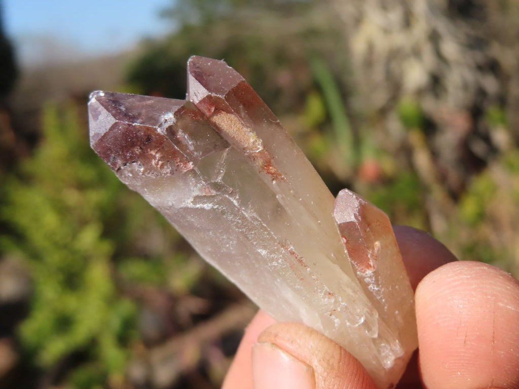 Natural Red Hematoid Quartz Crystals x 35 From Karoi, Zimbabwe - Toprock Gemstones and Minerals 